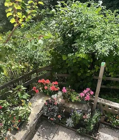 Apartment Wonderful In Outstanding Natural Beauty *